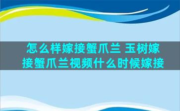 怎么样嫁接蟹爪兰 玉树嫁接蟹爪兰视频什么时候嫁接